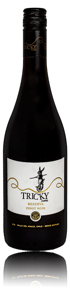 2018 Invina Tricky Rabbit Reserva Malbec Syrah 750ml