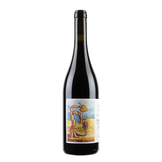 2020 Cantina Giardino Le Fole Aglianico d'Irpinia 750ml