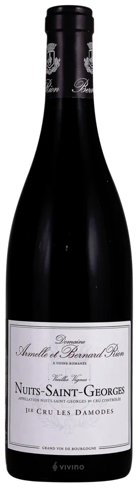 Domaine Armelle et Bernard Rion Nuits-Saint-Georges 1er Cru les Damodes 750ml
