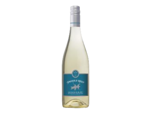 PADDLE REEF SAUVIGNON BLANC 750 ML